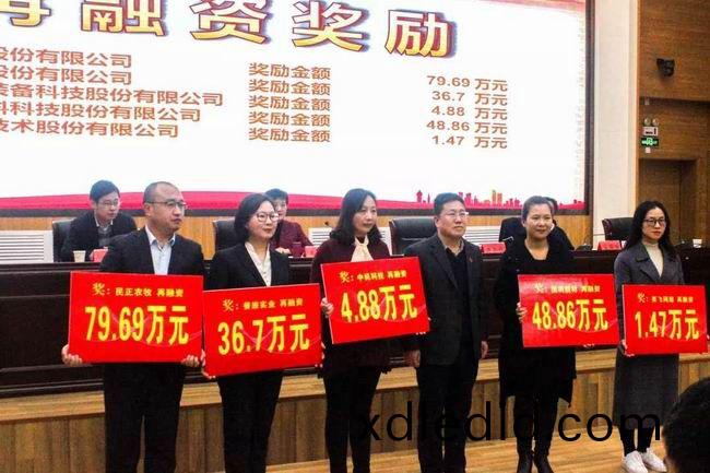 公司荣(rong)获(huo)洛阳(yang)市资(zi)本(ben)市场发展专项奖(jiang)补